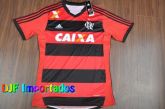 Flamengo temporada 2013