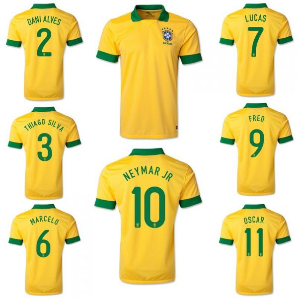 Seleção Brasileira 2013/14