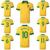 Seleção Brasileira 2013/14